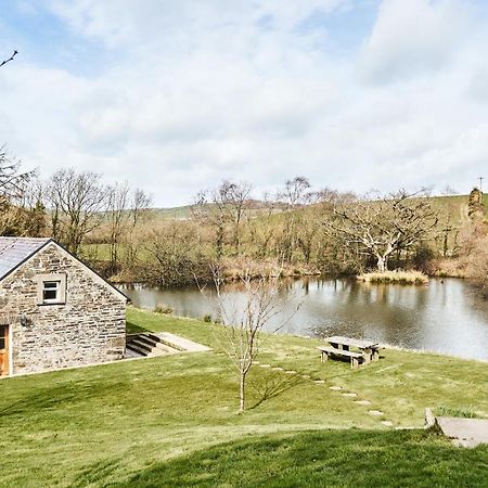 Penuwch Boathouse- Lakeside Rural Cottage Ideal For Families With Indoor Heated Pool Carmarthen Exteriér fotografie