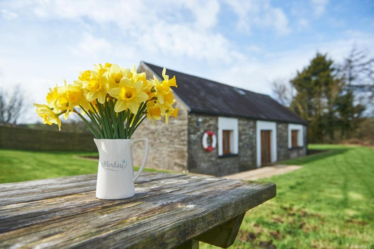 Penuwch Boathouse- Lakeside Rural Cottage Ideal For Families With Indoor Heated Pool Carmarthen Exteriér fotografie