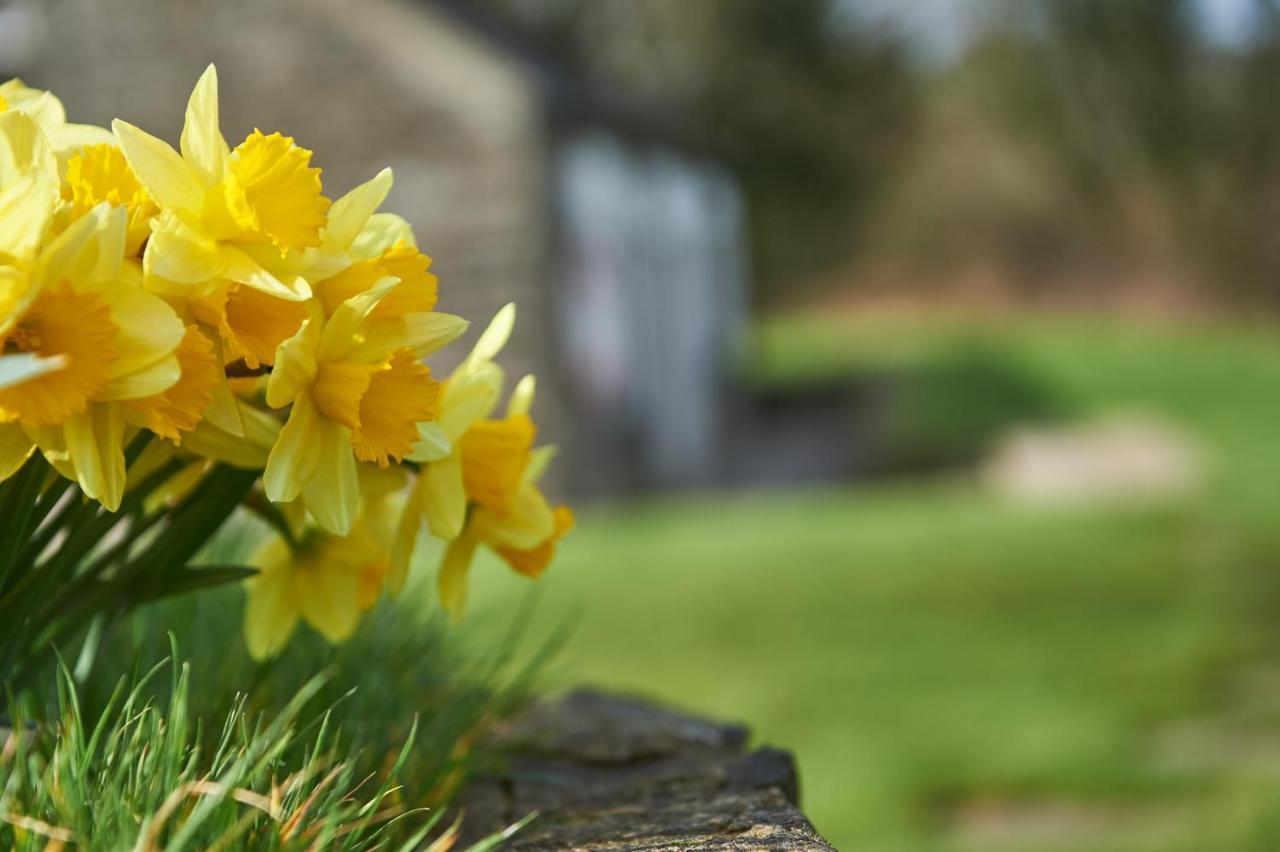 Penuwch Boathouse- Lakeside Rural Cottage Ideal For Families With Indoor Heated Pool Carmarthen Exteriér fotografie